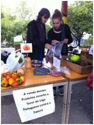 alimentacao2